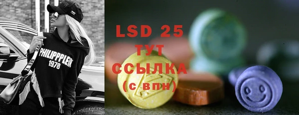 PSILOCYBIN Алзамай