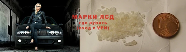 PSILOCYBIN Алзамай