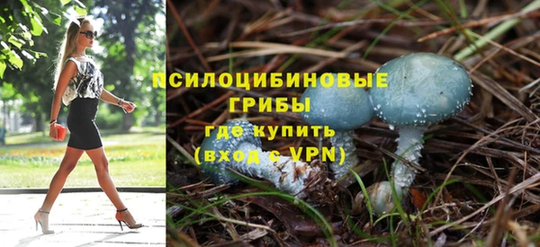 сатива Абинск