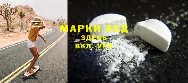 PSILOCYBIN Алзамай